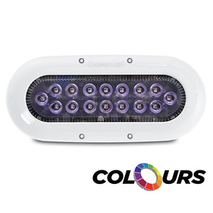 OceanLED X-Series X4 - White LEDs